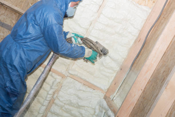 Best Crawl Space Insulation  in Lake Mary, FL